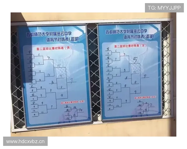 体育赛事平台发展趋势与竞争力分析：市场机会与挑战的深度剖析 - 副本 (2)